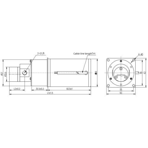 0,3 ml/rev Precision Delivery Micro Getriebepumpe